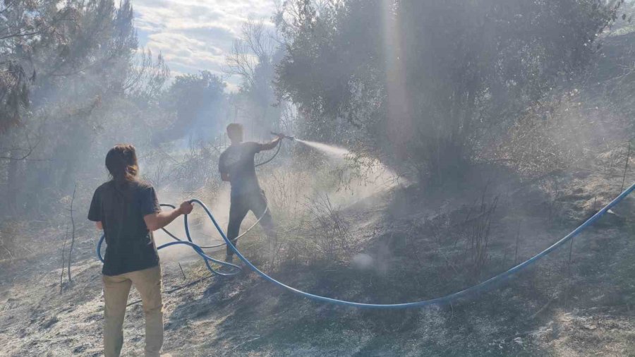 Antalya’da Ormanlık Alanda Yangın