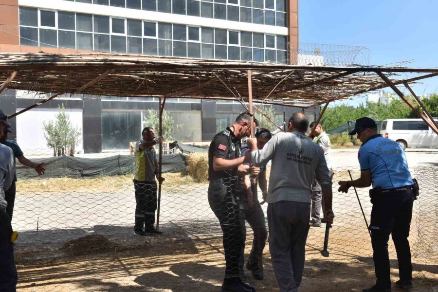 Kepez’de İzinsiz Kurban Satışına Sıkı Denetim