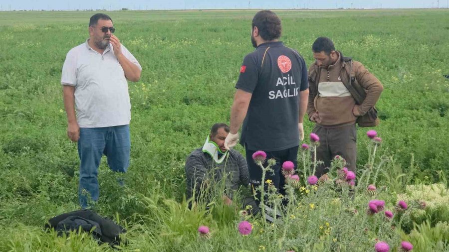 Aksaray’da Minibüs İle Kamyonet Çarpıştı: 5 Yaralı