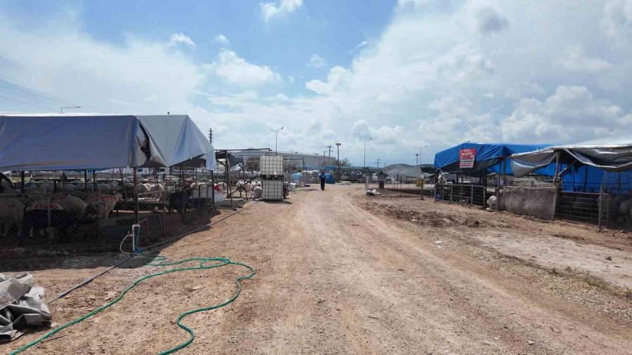 Akdeniz Belediyesinden Mobil Kesim Ünitesiyle Hijyenik Kurban Alanı