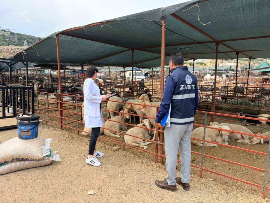 Kepez’de Kurban Satış Ve Kesim Yerleri Denetim Altında