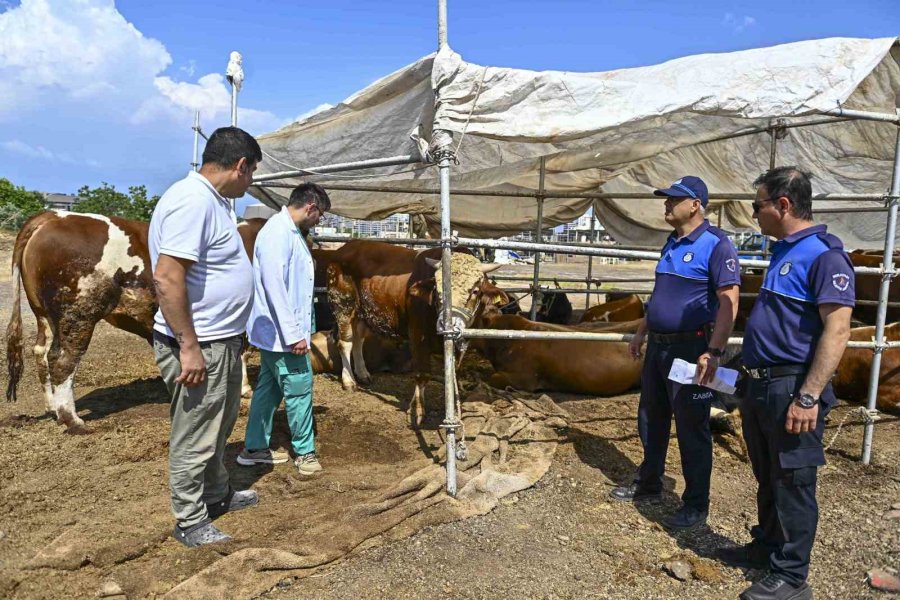 Muratpaşa’da Kurban Kesim Noktaları Kullanıma Hazır