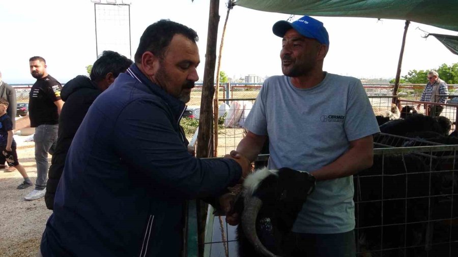 Mersin’de Kurbanlıklarda Kıran Kırana Pazarlıklar Başladı