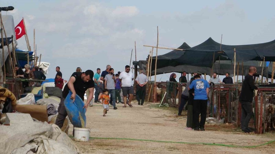 Mersin’de Kurbanlıklarda Kıran Kırana Pazarlıklar Başladı