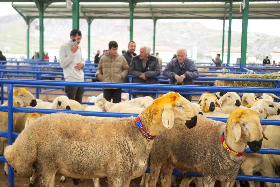 Niğde’de Hayvan Pazarında Bayram Bereketi Yaşanıyor