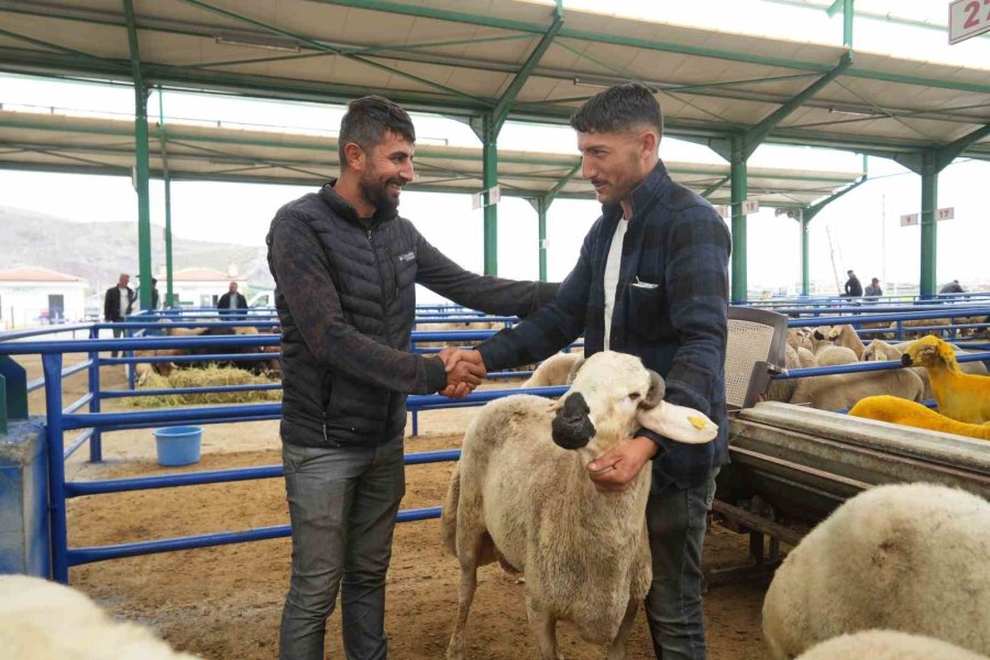Niğde’de Hayvan Pazarında Bayram Bereketi Yaşanıyor