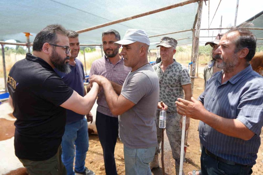 Antalya’da Kurban Pazarında Son Kozlar Oynandı: "zor Belayla Aldık, Çok Pazarlığını Yaptık"