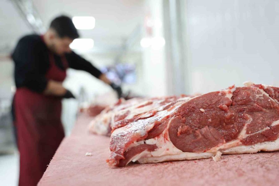 Etin Kalitesini Bozup Proteinini Düşürmeyin