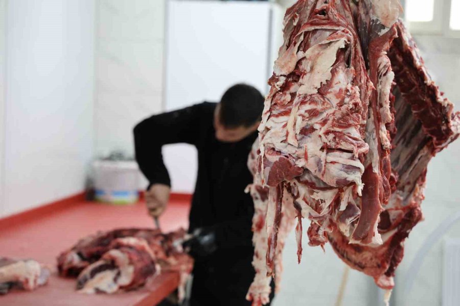Etin Kalitesini Bozup Proteinini Düşürmeyin