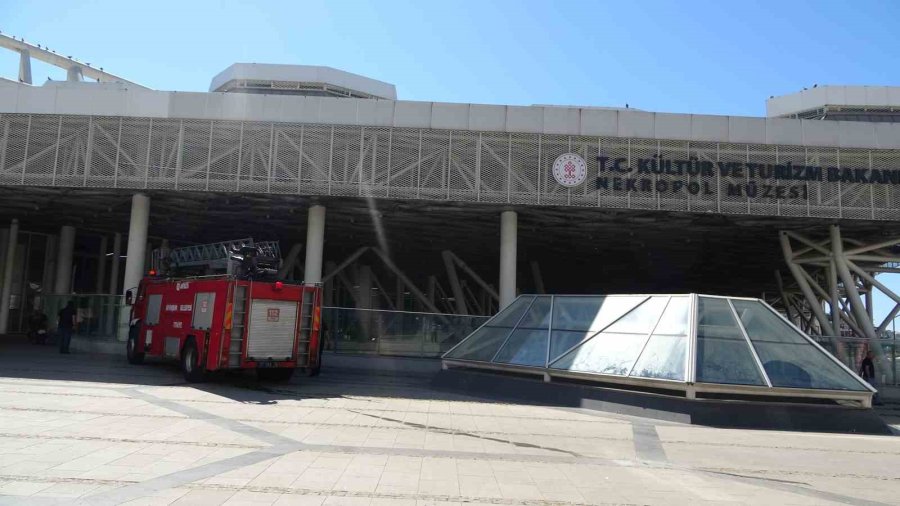 Güvercin Ölümlerini Durdurmak İçin Nekropol Müzesine Sonar Ses Sistemi Kurulacak