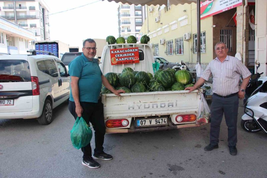 Çekirdek Karpuzun Hasadı Başladı: 3 Ayda Hasat Ediliyor, 1 Ayda Tükeniyor