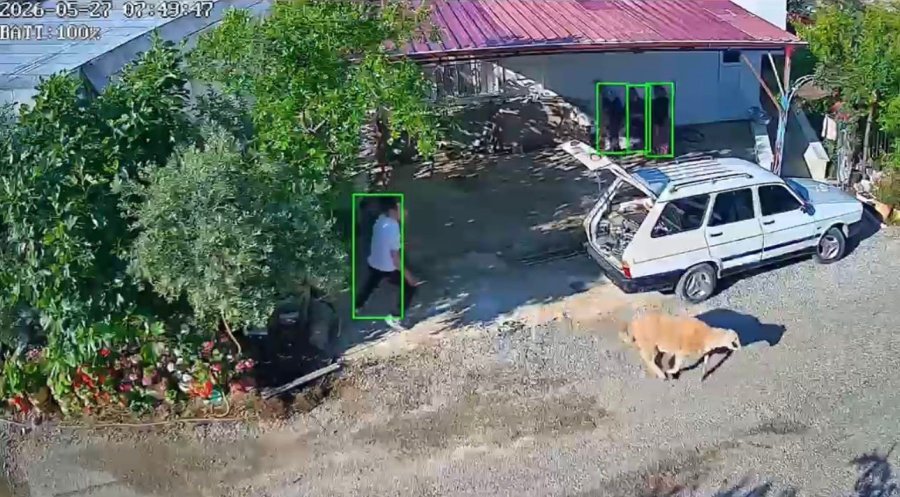 Mersin’de Kurbanlıklar Kaçtı, Bayram Neşesi Kameralara Yansıdı