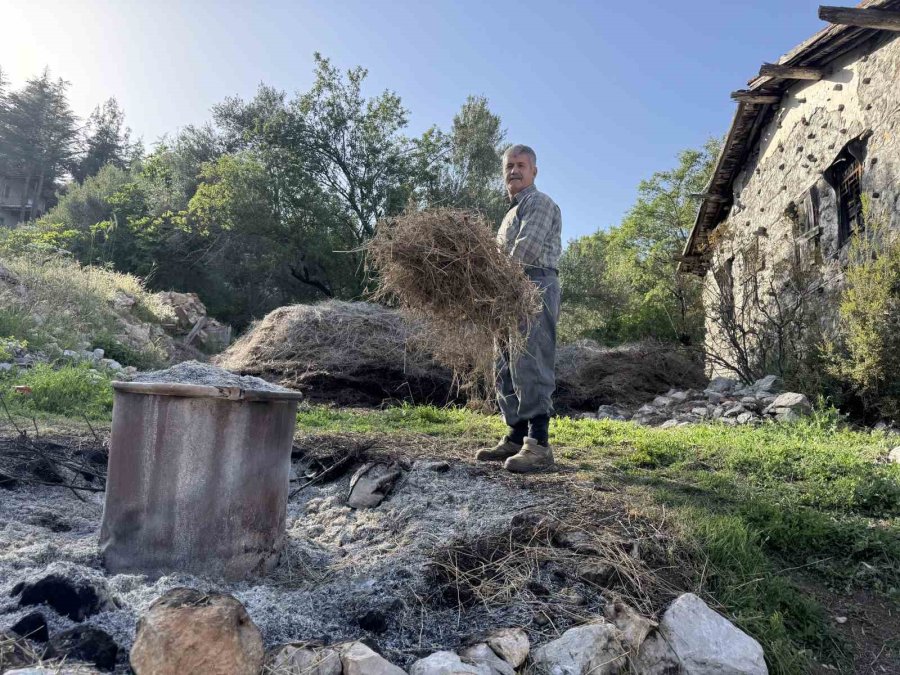 Toroslar’da Yetişen 31 Farklı Bitkinin Yağını Çıkartıp Ülkenin Dört Bir Yanına Gönderiyor