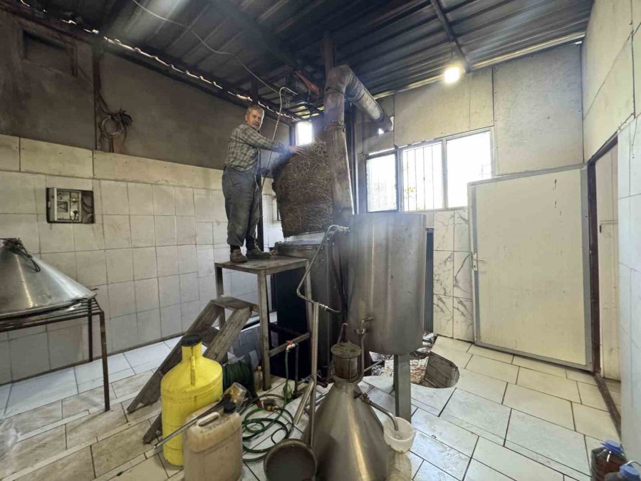 Toroslar’da Yetişen 31 Farklı Bitkinin Yağını Çıkartıp Ülkenin Dört Bir Yanına Gönderiyor