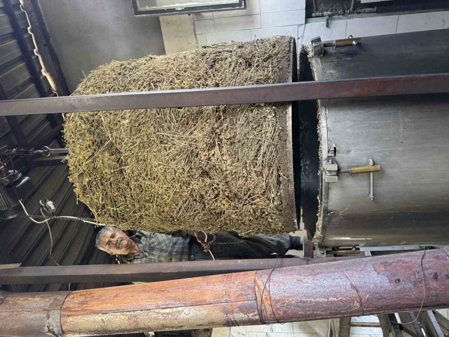 Toroslar’da Yetişen 31 Farklı Bitkinin Yağını Çıkartıp Ülkenin Dört Bir Yanına Gönderiyor
