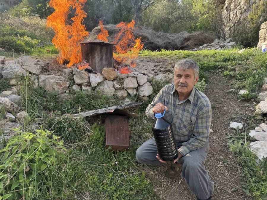 Toroslar’da Yetişen 31 Farklı Bitkinin Yağını Çıkartıp Ülkenin Dört Bir Yanına Gönderiyor