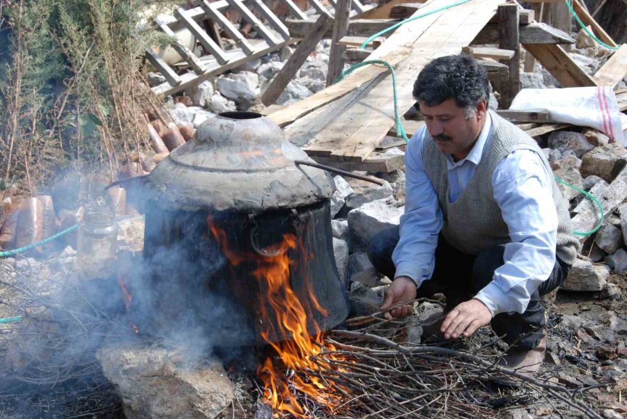 Toroslar’da Yetişen 31 Farklı Bitkinin Yağını Çıkartıp Ülkenin Dört Bir Yanına Gönderiyor