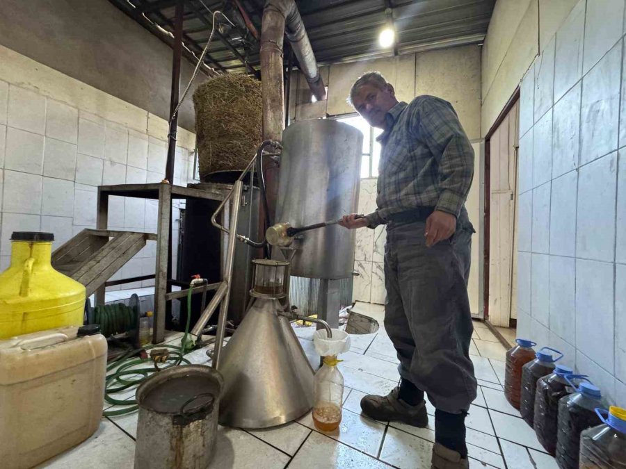 Toroslar’da Yetişen 31 Farklı Bitkinin Yağını Çıkartıp Ülkenin Dört Bir Yanına Gönderiyor