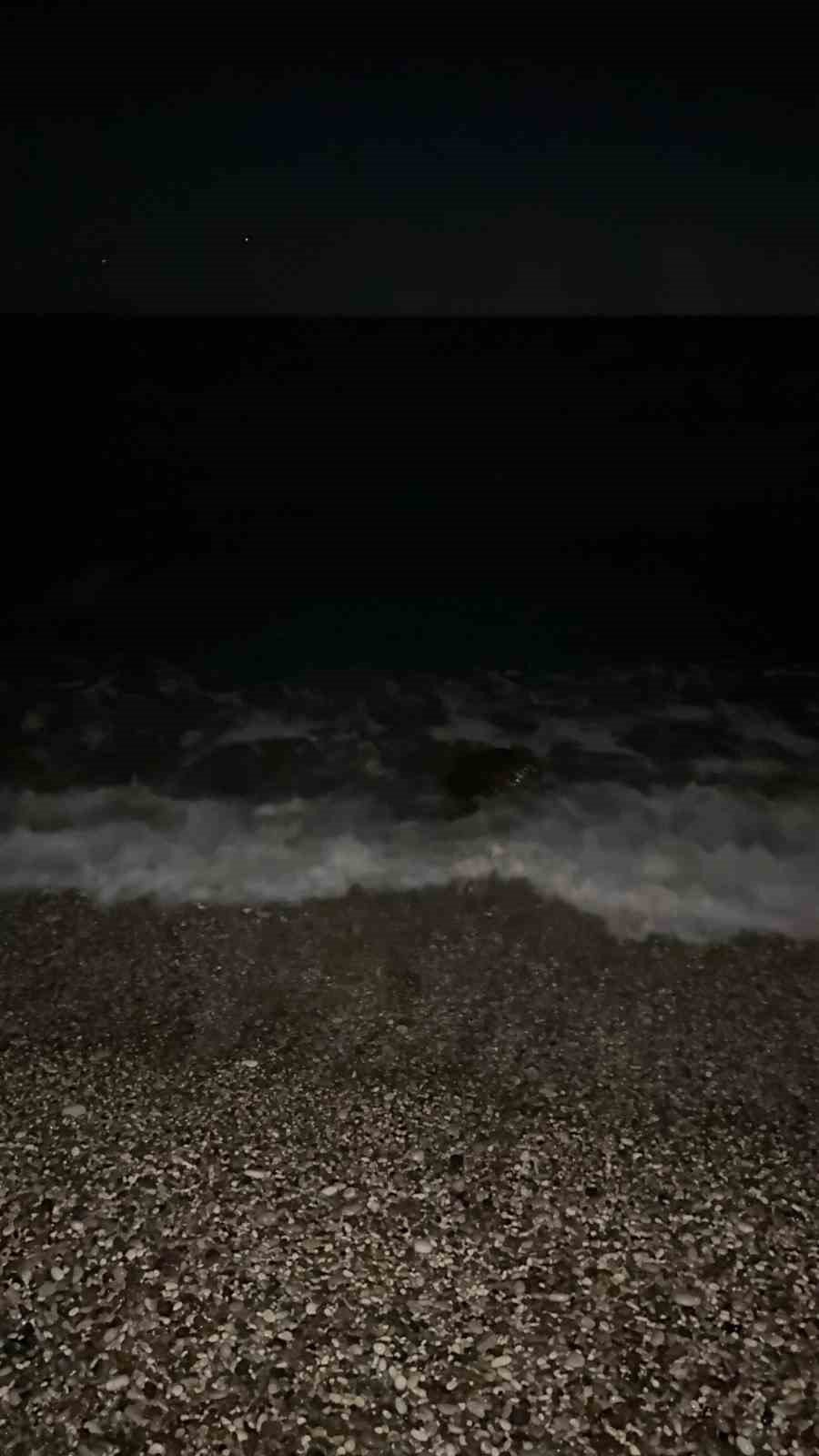 Sahilin Davetsiz Misafiri Dev Caretta Caretta