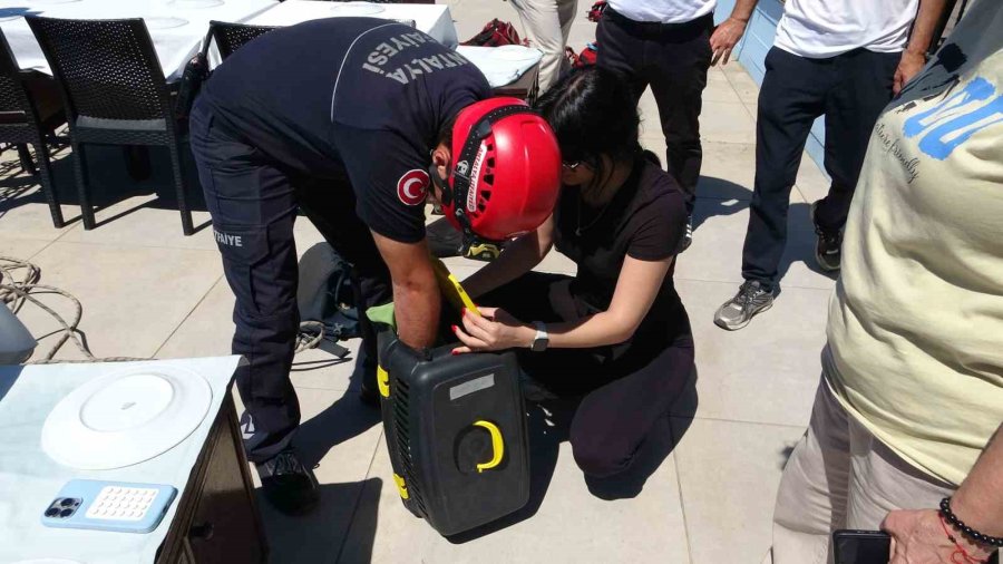 Falezlerde Mahsur Kalan Kedi, İtfaiyenin 1 Saatlik Çalışmasıyla Kurtarıldı