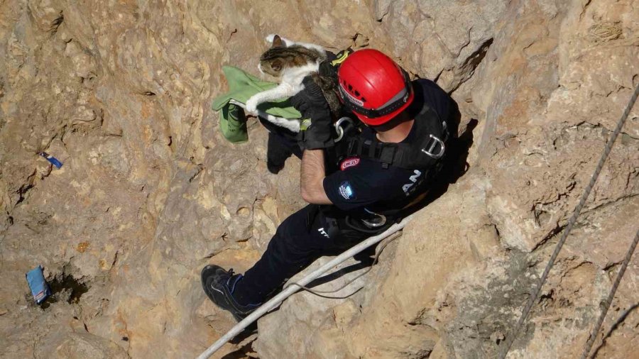 Falezlerde Mahsur Kalan Kedi, İtfaiyenin 1 Saatlik Çalışmasıyla Kurtarıldı