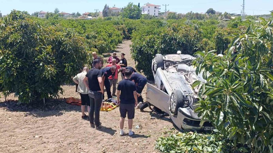 Viraj Alamayan Otomobil Avokado Bahçesine Uçtu