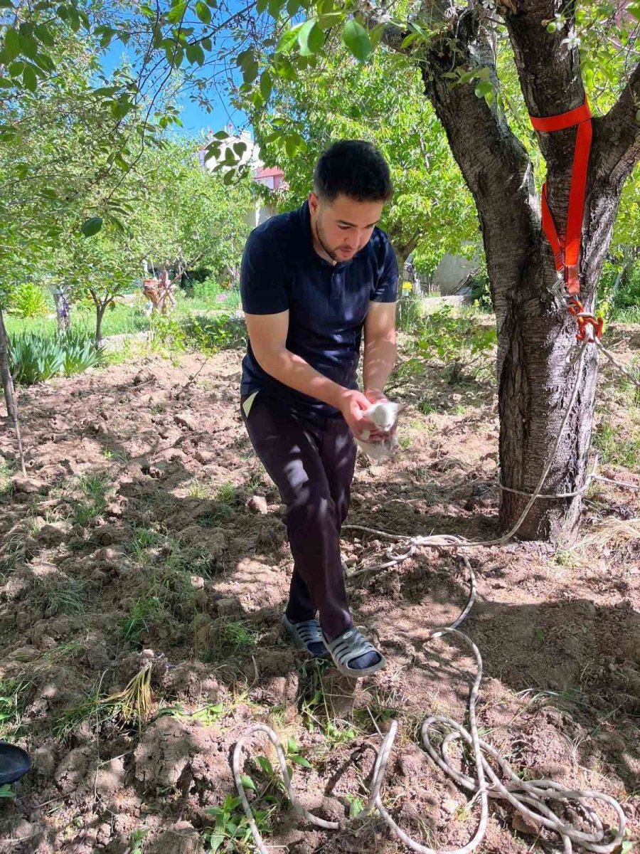 Kuyuya Düşen Yavru Kedi İtfaiye Ekiplerince Kurtarıldı