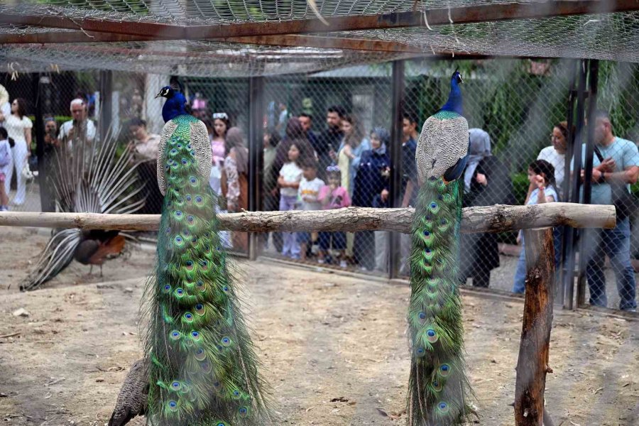 Tarsus Doğa Parkı Bayramda 28 Bin Ziyaretçiyi Ağırladı