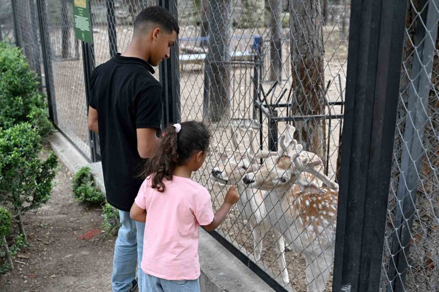 Tarsus Doğa Parkı Bayramda 28 Bin Ziyaretçiyi Ağırladı