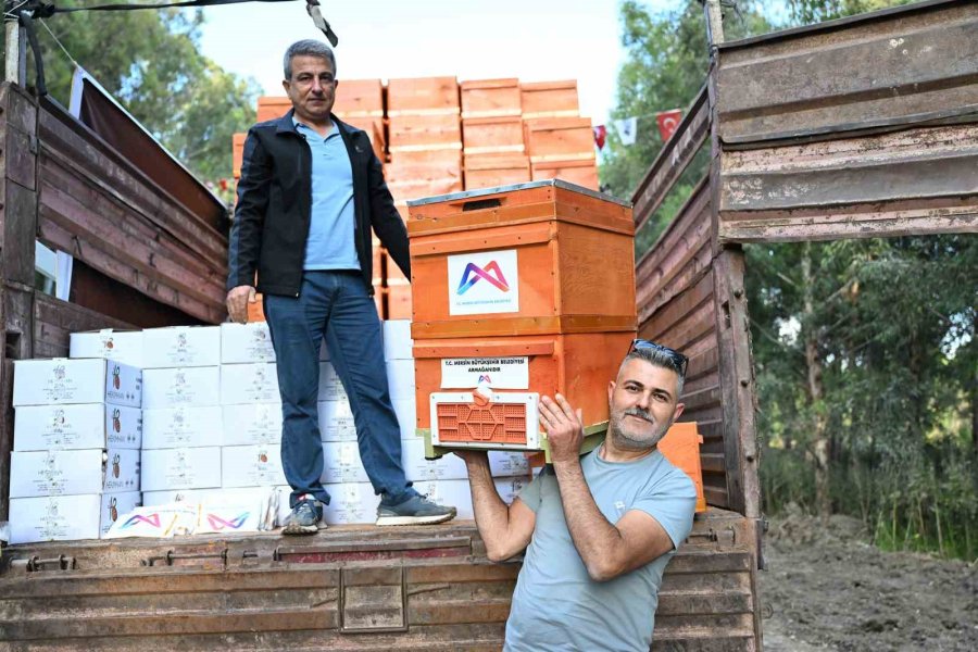 Altın Kovan Projesi Kırsalda Üretimi Büyütüyor