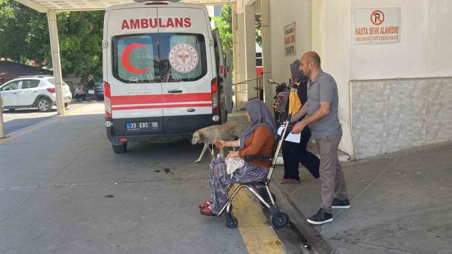 Mantar Yiyen 7 Kişi Zehirlenme Şüphesiyle Hastaneye Kaldırıldı