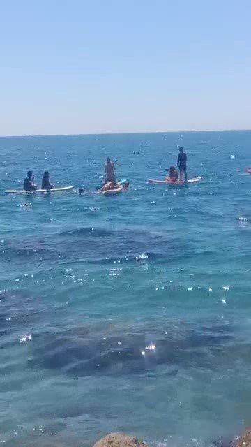 40 Metrelik Falezlerden Ölüme Meydan Okuyan Atlayış Faciayla Sonuçlanıyordu