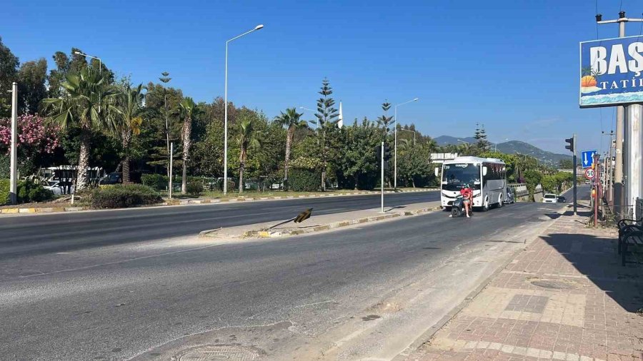 Alanya’da Minibüs İle Motosiklet Çarpıştı: 1’i Ağır 2 Yaralı