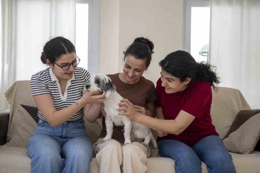 Mersin’de Sahiplendirme Kampanyasıyla Bin 927 Köpek Yeni Yuvasına Kavuştu