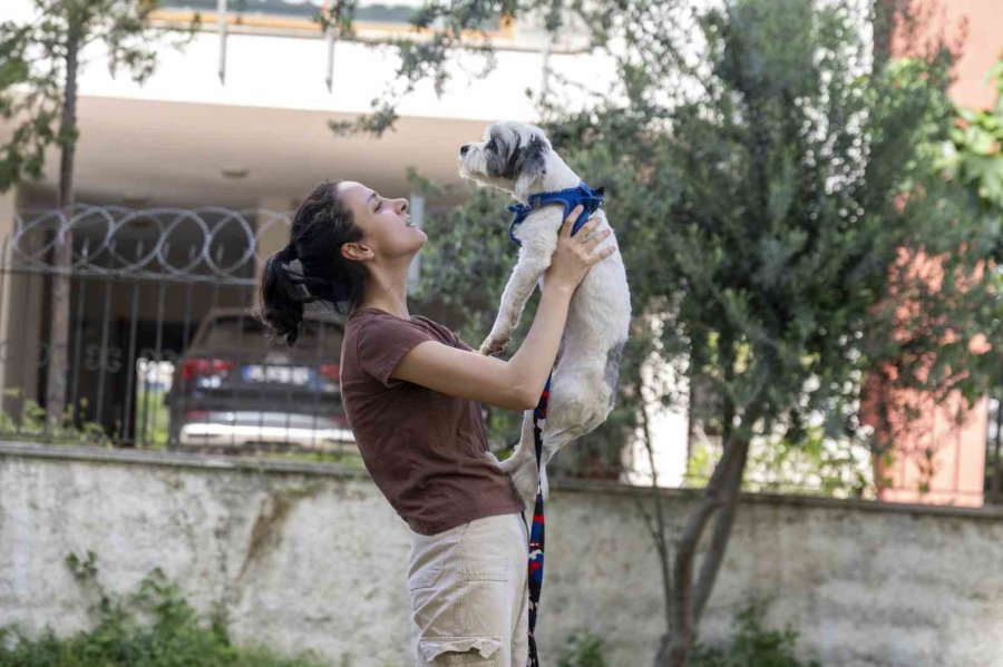 Mersin’de Sahiplendirme Kampanyasıyla Bin 927 Köpek Yeni Yuvasına Kavuştu