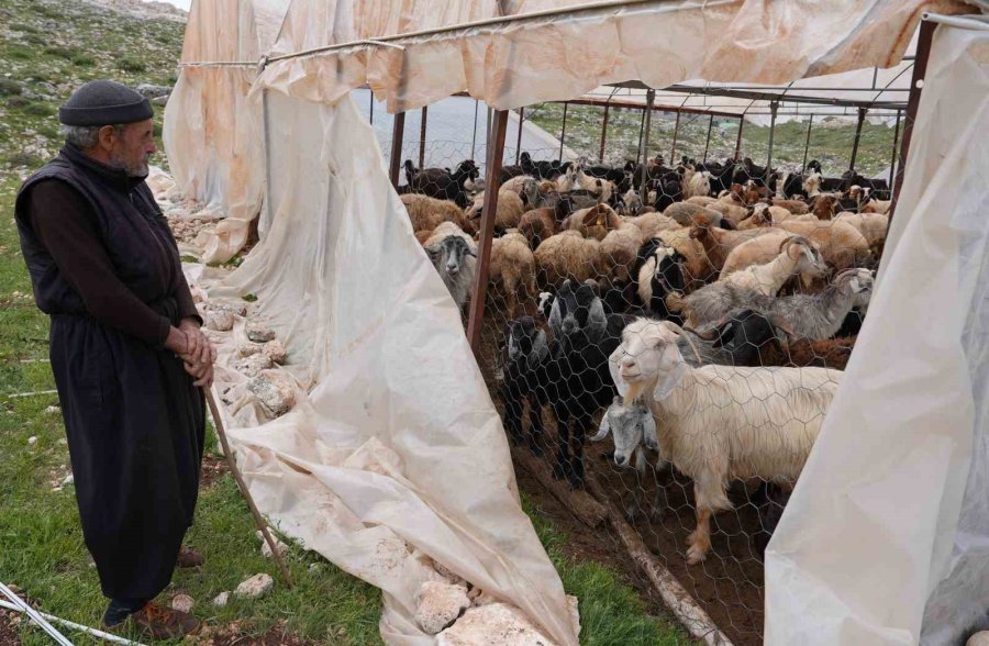 Torosların Zirvesinde Yörükler, Güneş Panelleriyle Enerjiye Kavuşuyor