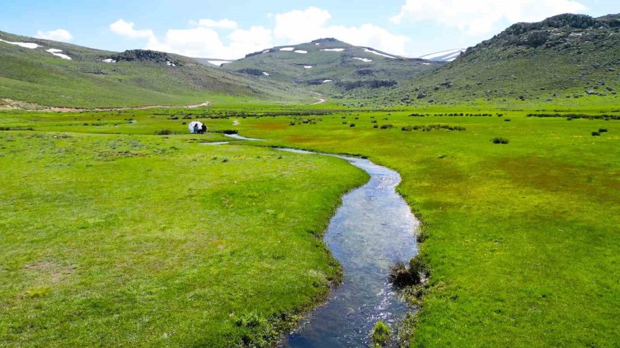 Niğde’de Yağışlarla Canlanan Ketençimen Yaylası Doğaseverlerin Gözdesi Oldu