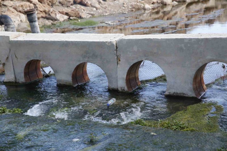 Antalya Büyükşehir Belediyesi’nden Geleceğe Yeşil Miras