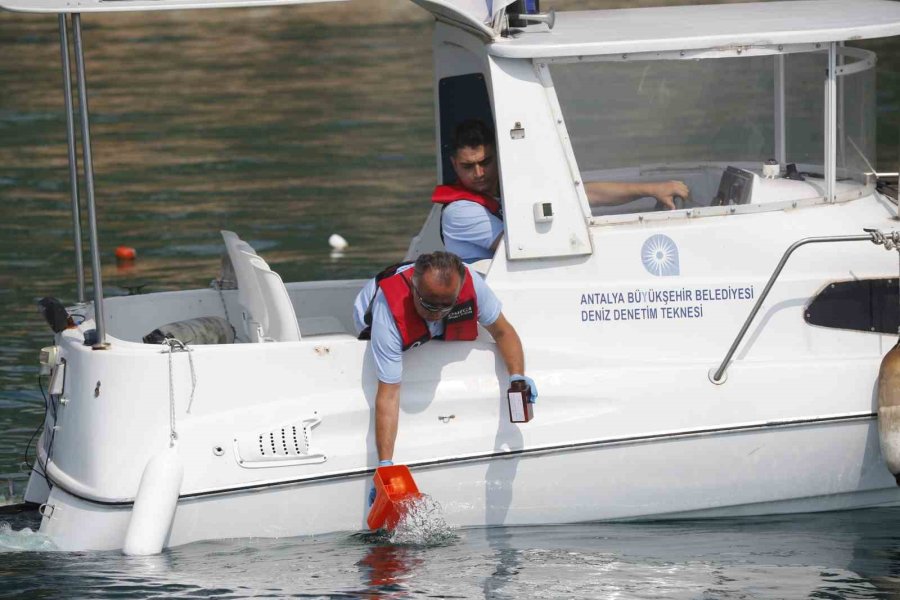 Antalya Büyükşehir Belediyesi’nden Geleceğe Yeşil Miras