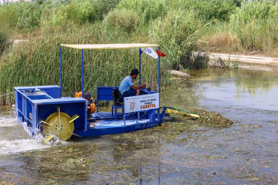 Antalya Büyükşehir Belediyesi’nden Geleceğe Yeşil Miras
