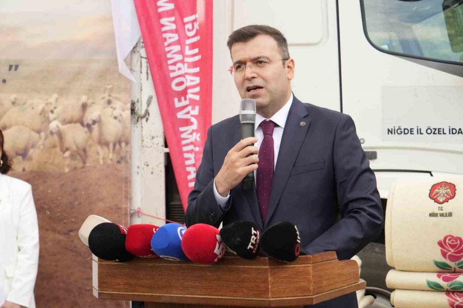 Niğde’de Küçükbaş Hayvancılığa Dev Destek