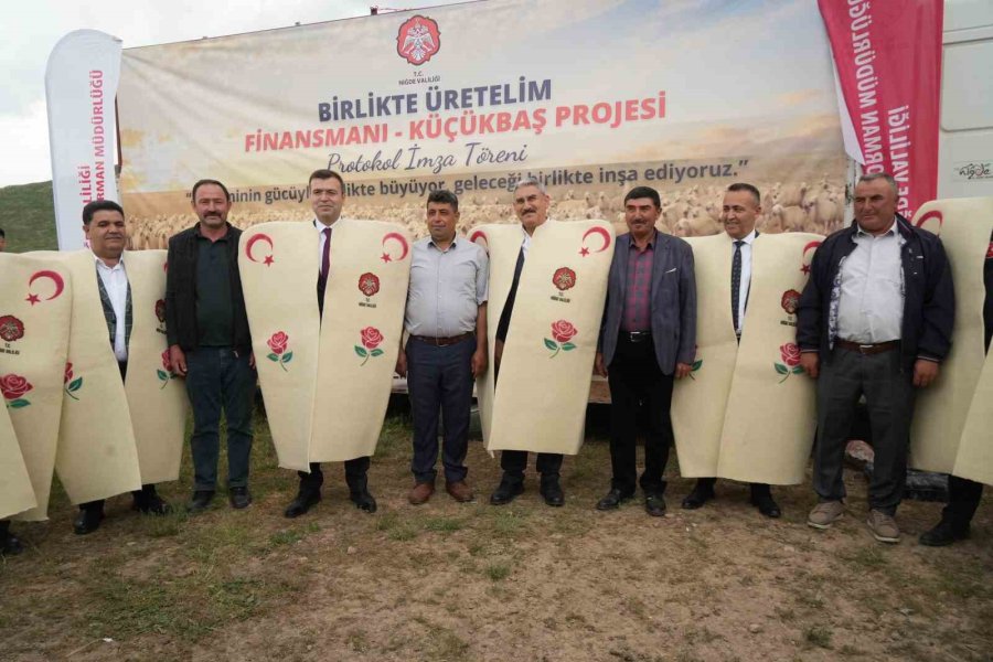 Niğde’de Küçükbaş Hayvancılığa Dev Destek