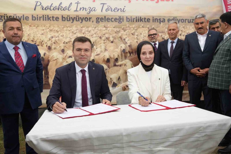 Niğde’de Küçükbaş Hayvancılığa Dev Destek