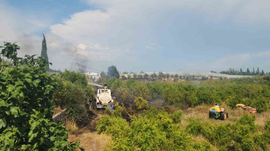 Antalya’da Sera Ve Evleri Tehdit Eden Yangın Mahalleliyi Korkuttu
