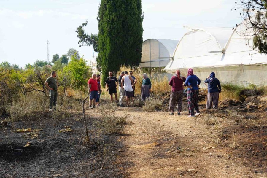 Antalya’da Sera Ve Evleri Tehdit Eden Yangın Mahalleliyi Korkuttu
