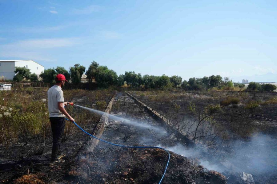 Antalya’da Sera Ve Evleri Tehdit Eden Yangın Mahalleliyi Korkuttu