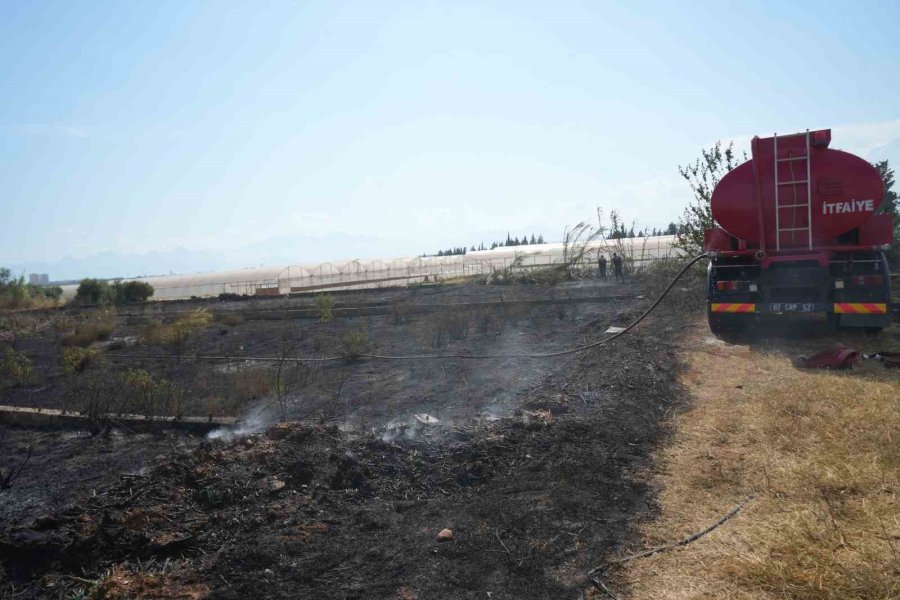 Antalya’da Sera Ve Evleri Tehdit Eden Yangın Mahalleliyi Korkuttu