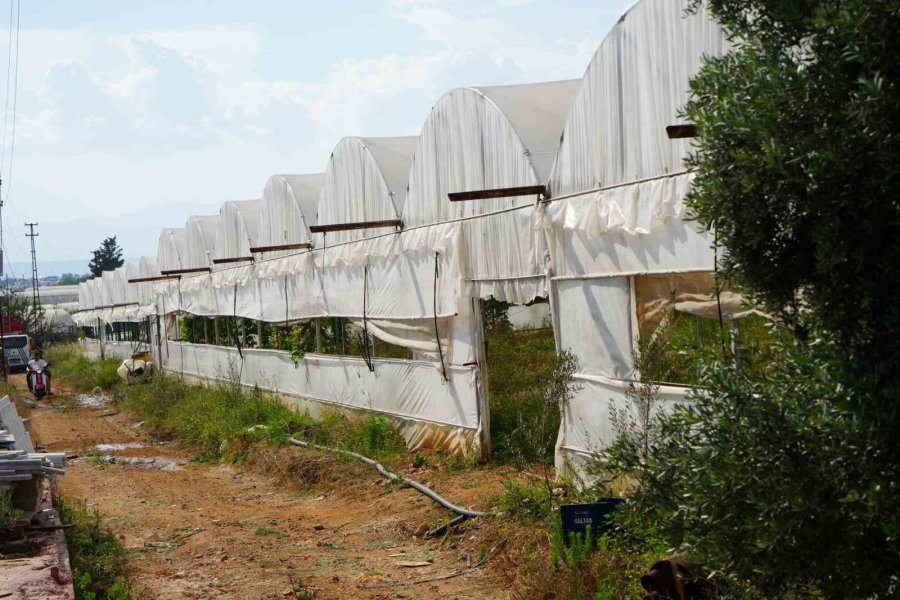 Antalya’da Sera Ve Evleri Tehdit Eden Yangın Mahalleliyi Korkuttu