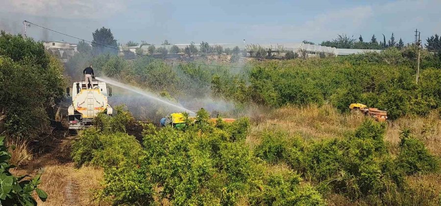 Antalya’da Sera Ve Evleri Tehdit Eden Yangın Mahalleliyi Korkuttu