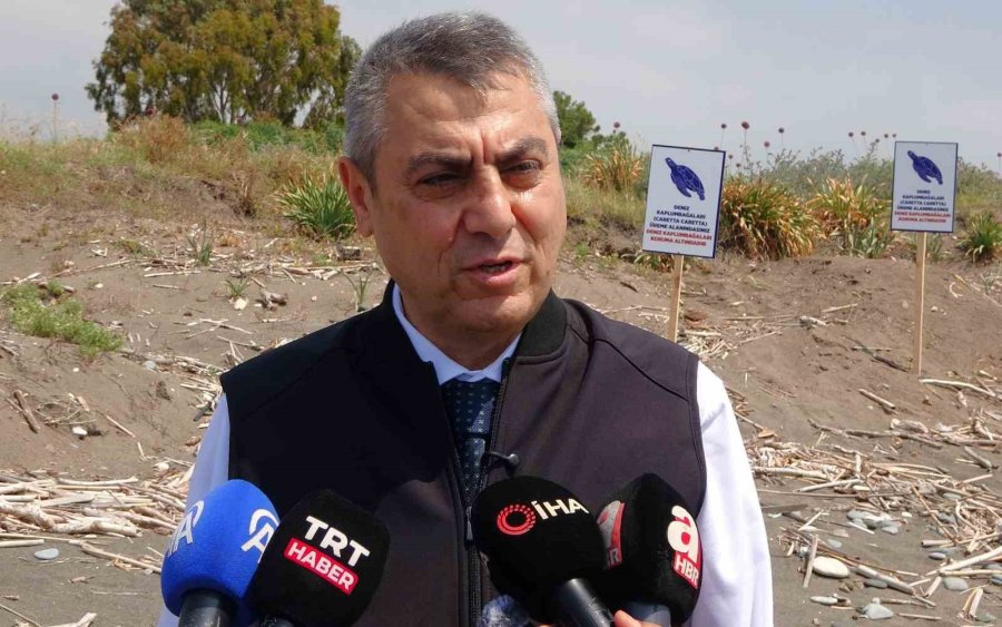 Yuvalama Alanları Temizlendi, Carettalar Yumurtalarını Bırakmaya Başladı